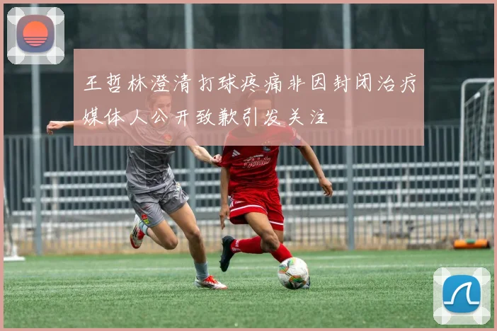 王哲林澄清打球疼痛非因封闭治疗媒体人公开致歉引发关注